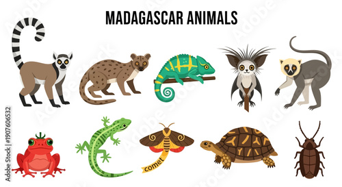Ten flatstyle illustrations of diverse Madagascar animals on a white background