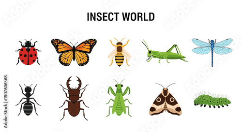 Ten illustrations of insects arranged in two rows under the title INSECT WORLD