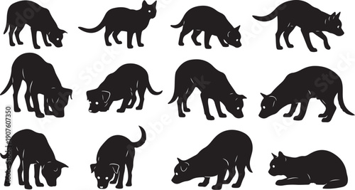 Black cat silhouettes in various poses and movements isolated