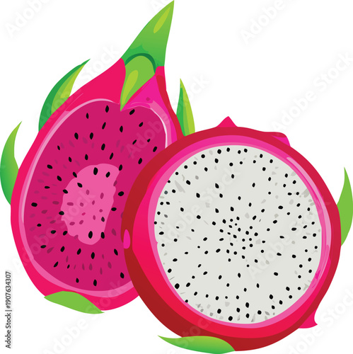 A vibrant illustration depicts a dragon fruit both whole and sliced open