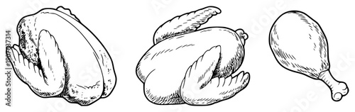 Hand Drawn Black And White Line Of A Whole Chicken And A Chicken Leg Isolated White