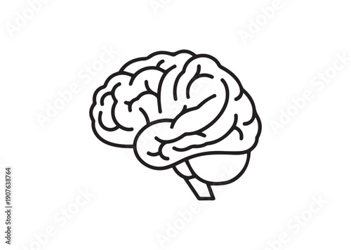 Brain Icon
