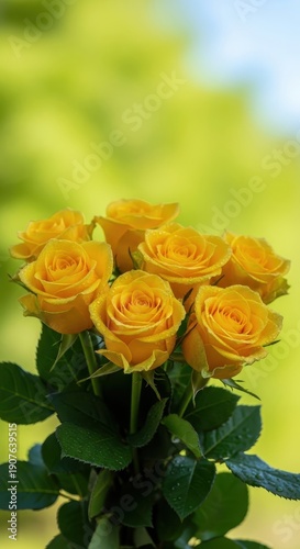 A bouquet of freshly cut, deep yellow roses symbolizing joy and friendship, captured outdoors under bright daylight, decoration, stem, romantic