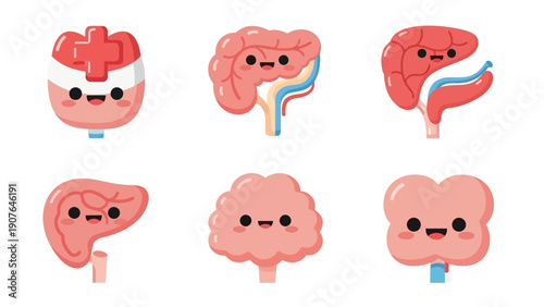 Illustration of various human kidneys with different conditions and emotions, showcasing diverse anatomical features from multiple viewpoints