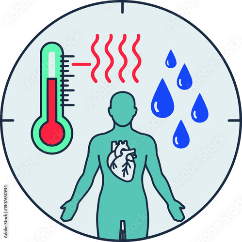 Illustrative graphic depicting the body's temperature, hormone cycle, and water balance. A thermometer, heat waves, and raindrops surround a stylized human figure. Clear, informative design.