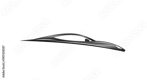 Black and White Bird Feather.