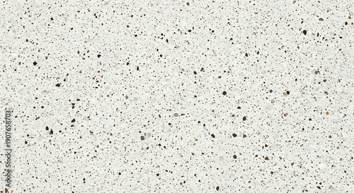 Close-up Texture of Speckled White and Black Granite Surface.