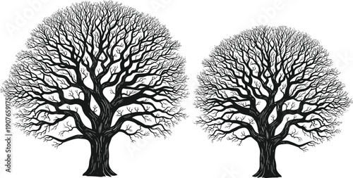 Strong black bull silhouettes set in various poses, featuring muscular buffalo standing, walking, and charging for farming, livestock, and Spanish rodeo vector illustration