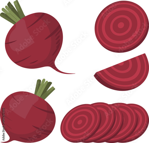 Fresh beetroot vector illustration set with whole and sliced beets, flat style healthy vegetable food design isolated on white background