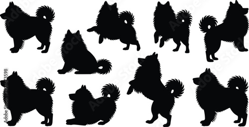 Dog silhouette collection, fluffy spitz breed poses set, cute pet animal vector illustration isolated on white background