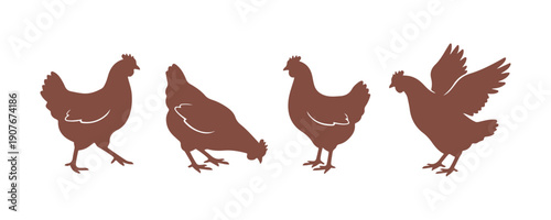 vector of chicken body silhouette

