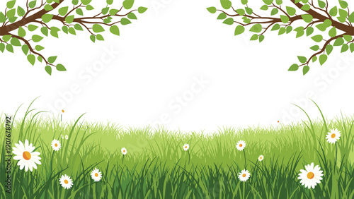 Peaceful landscape view of a lush green meadow filled with white daisies under the shade of leafy green tree branches on a calm summer day.