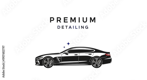 Black Sports Car Premium Detailing Service.