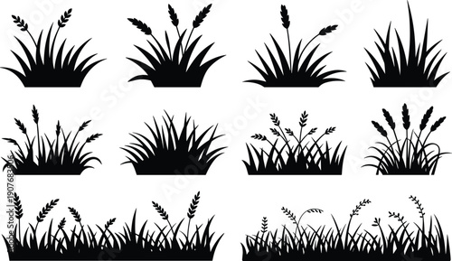 Grass silhouettes, wheat stalks, nature design, plant vector, outdoor illustration, foliage shapes, black art, landscape icon, greenery graphic
