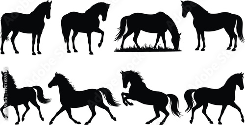 Horse silhouettes set, black horse poses collection, running grazing standing horses isolated on white background, animal vector illustration