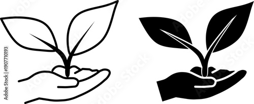 hand holding a plant