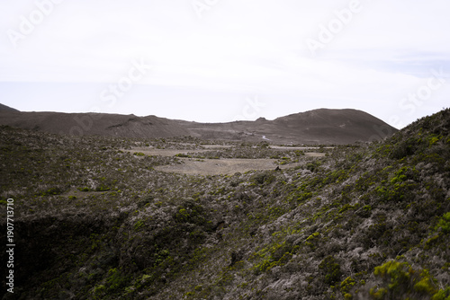 Paysage volcanique minéral et végétation basse au Piton de la Fournaise