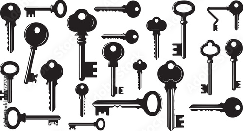 Collection of various keys on a white background illustration