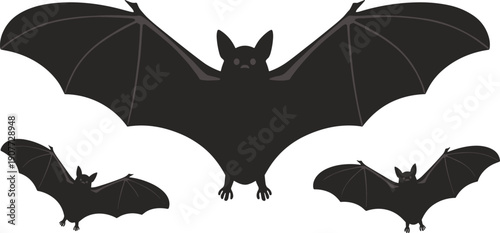 Bat silhouette set, flying bat collection, nocturnal animal shapes, isolated wildlife illustration, Halloween bat silhouettes, vector flying animal design elements pack