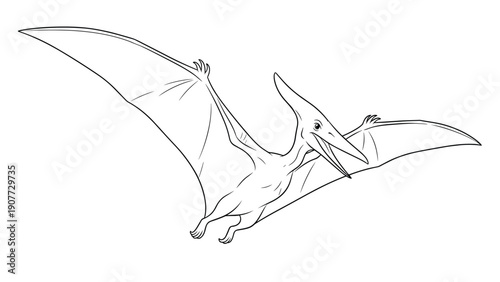 Dynamic black and white line art illustration of a prehistoric pterodactyl soaring through the air with its wings spread wide.