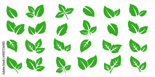 Leaf vector symbol, leaf illustration or leaf emoji in flat style. Spring leaf design, ecological nature theme.	