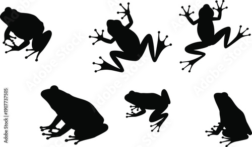 Tree frog silhouettes collection, jumping and sitting frog poses set, amphibian wildlife vector illustration, isolated black frog silhouettes for nature design use