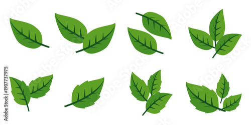 Leaf vector symbol, leaf illustration or leaf emoji in flat style. Spring leaf design, ecological nature theme.	