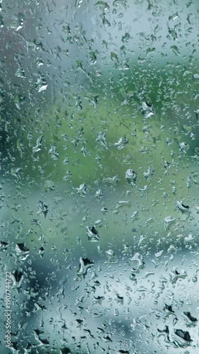 梅雨の雨に濡れた窓ガラスと緑の森の風景