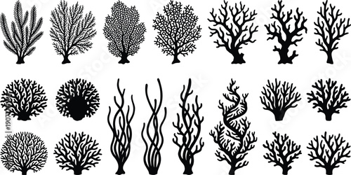 Black and white coral silhouette collection featuring diverse reef shapes, underwater marine life illustration set isolated on white background for ocean design