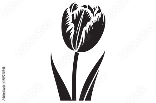 A striking black and white silhouette of a single tulip flower