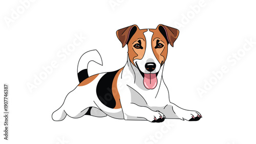 Happy Jack Russell Terrier dog is illustrated lying down with its tongue out and a friendly, alert expression against a white background.