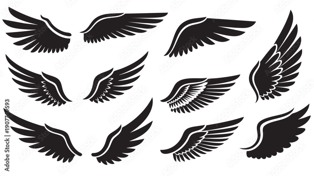 Obraz premium Collection of stylized bird wings in various positions isolated