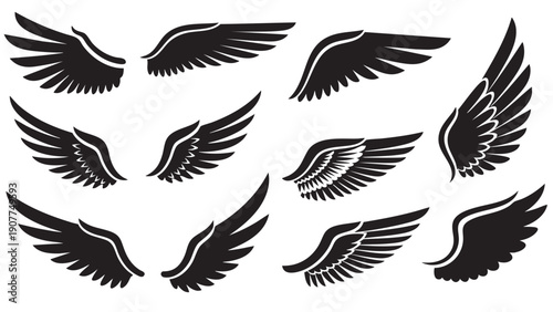 Collection of stylized bird wings in various positions isolated