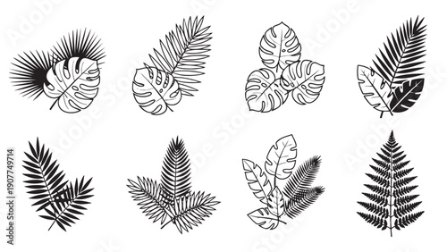 Collection of tropical leaves and ferns illustration set isolated