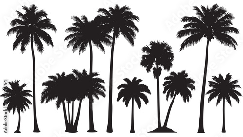 Collection of tropical palm trees silhouettes isolated on transparent background