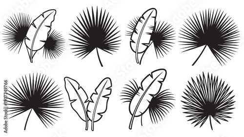 Collection of tropical palm leaves in various styles isolated