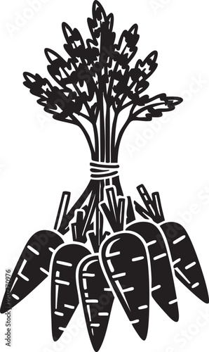 Bunch of Carrots in Monochrome: A detailed monochrome illustration of a fresh, bountiful bunch of carrots, tied together with string. Capturing the essence of garden-fresh goodness and natural.