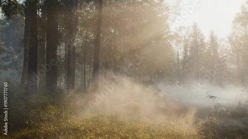Forest scene with towering trees, sunbeams filtering through mist and foliage