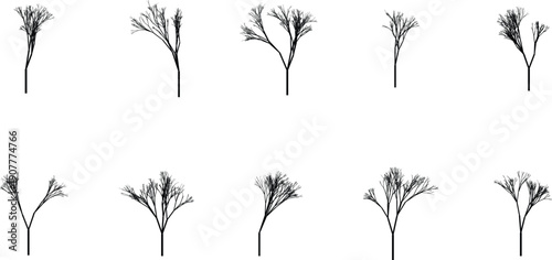 Evolution of Graphic: A collection of simple graphic tree illustrations showcase the evolving structure and potential of plant life. 