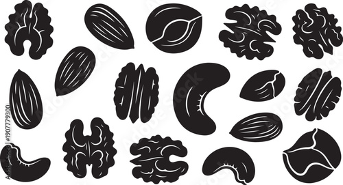 Collection of various nuts in black and white illustration