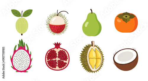 Variety of colorful fresh fruits illustration