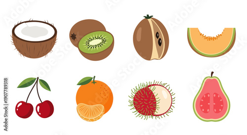 Variety of fresh colorful fruit illustrations