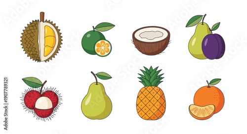 Variety of fresh colorful fruit illustrations