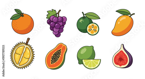 Variety of fresh fruits isolated on white
