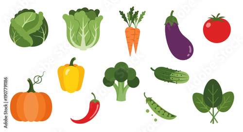 Vegetable assortment graphic illustration