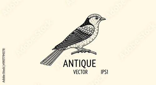 Antique illustration of a small bird perched on a branch.