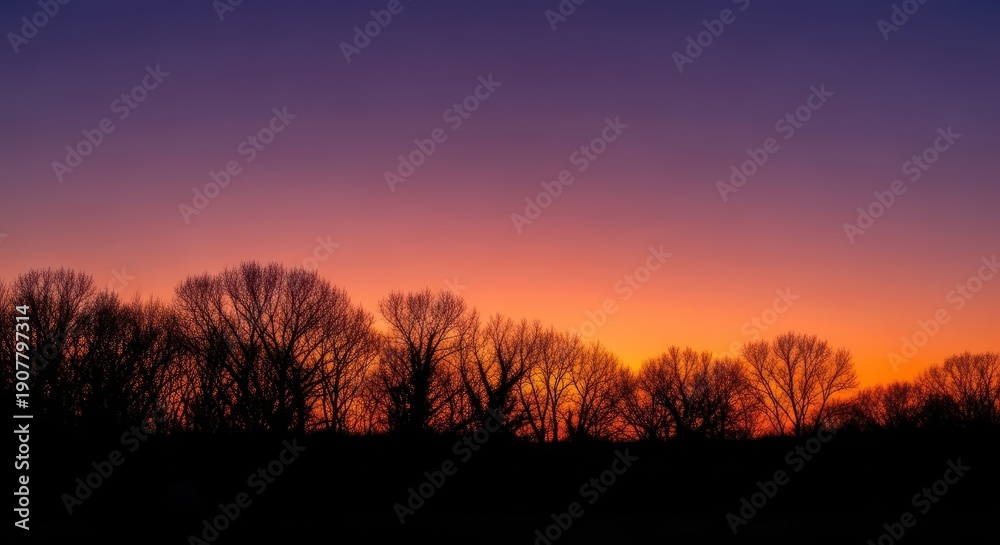 Fototapeta premium Dramatic natural environment scene featuring dark tree line profiles contrasted against a vibrant gradient sky during late evening hours, dusk, vibrant, minimal