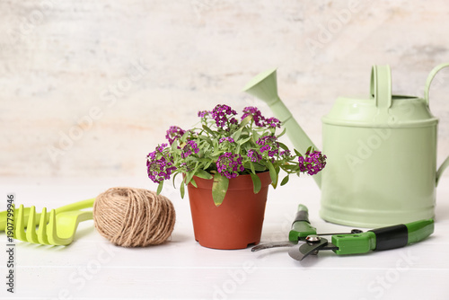 Pot with flowers and garden...