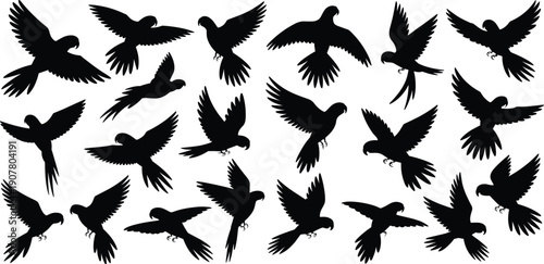 Black bird silhouettes flying in various poses, isolated avian shapes collection, wildlife flight dynamics illustration on white background