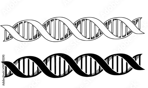 DNA double helix strand structure in outline and silhouette style for genetic science biology medical research biotechnology molecular genetics laboratory illustration